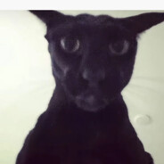 Evil Larry