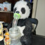 high im panda