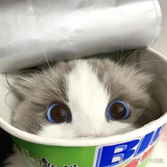 徐师傅麻辣鱼板面