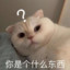 23：07