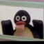 Pingu