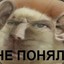 ᠌ ᠌ ᠌᠌ ᠌ ᠌ ᠌ ᠌