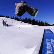 Gi[[Bones - steam id 76561197961348504
