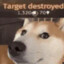 Doge the destroyer