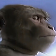 我用一生与你擦肩