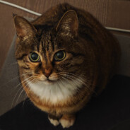 大大大大大粥子