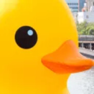 Rubberduck