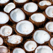 Coconut Spam