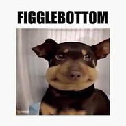 Mr. FiggleBottom