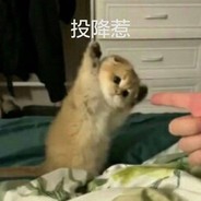 姚沅惊今天也是你爸爸