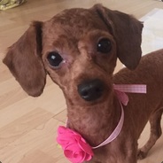 Daramg - steam id 76561197971112236