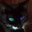 Sash