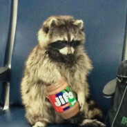 阿明不吃西红柿