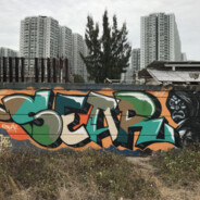 sear