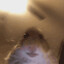 twitch.tv/klswitch CSGOSKINS