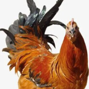 练习时长两年半的鸡坤