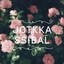 Jotkka Ssibal