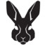 rabbit-