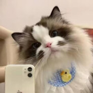 本就不因该开始