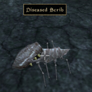 diseased scrib