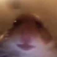 Ne