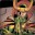 Steam avatar of Loki