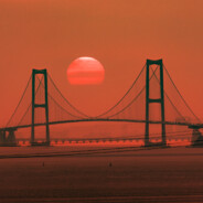 我看你是想缺氧了