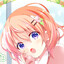 Cocoa