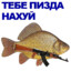 Карась