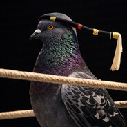 kru pigeon