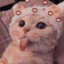 Nozoom☻☹☹