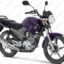 YBR 125