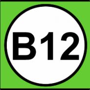 B12