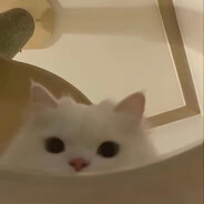 找个病娇女朋友