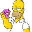 Homer Jay Simpson