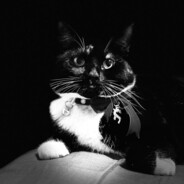 TheGoDsGrace - steam id 76561198067194108