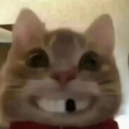 把肾割了拿去卖