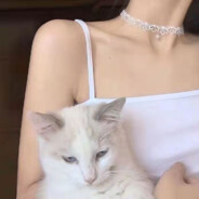 你在身旁姣若月光