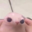 Chefingus