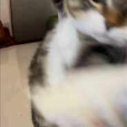 上上下下左右左右