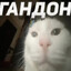 домик в ама's avatar