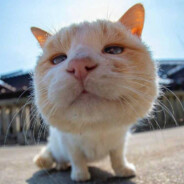 年愁今夜未到家