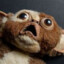 Gizmo