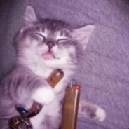 vac banned from secure server