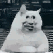 O.o?Σ(°Д°; ( °Д°)︵