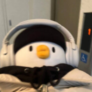 他朝若是同淋雪