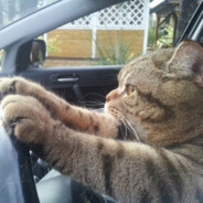 Христос байбек