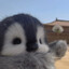 ♥ PInguu ♥ツ