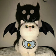 乱花渐欲迷人眼