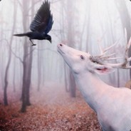 要如何翻译我爱你